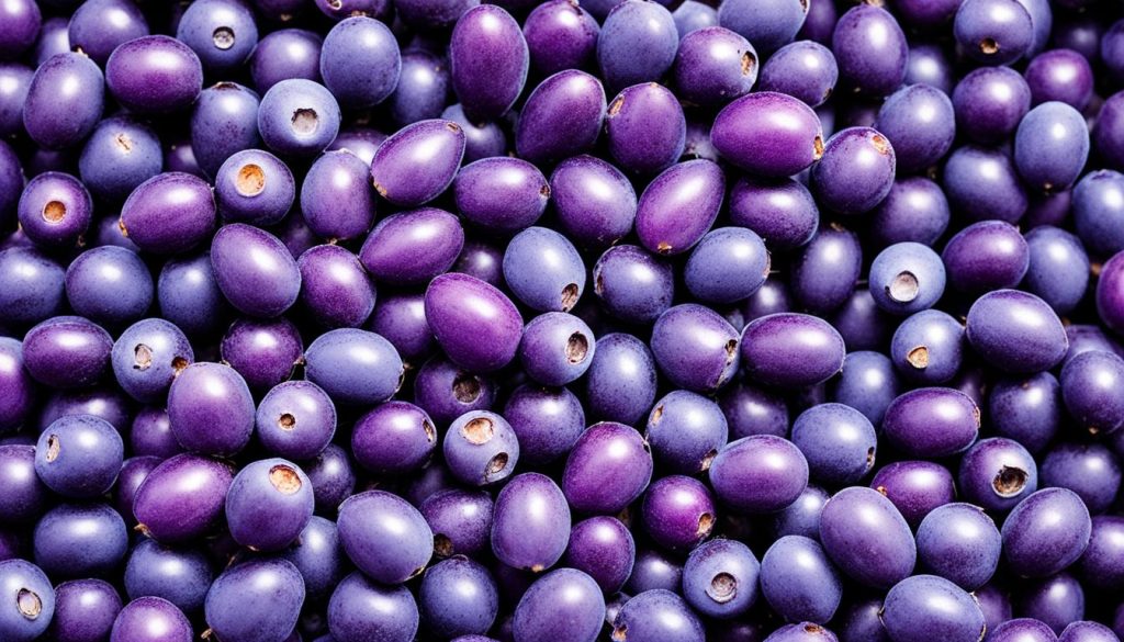 acai berry benefits